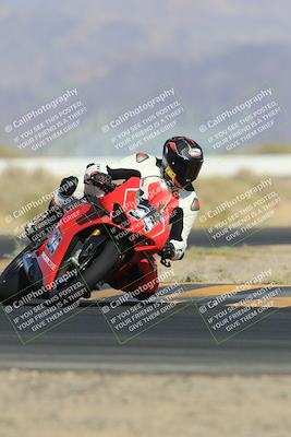 media/May-13-2023-SoCal Trackdays (Sat) [[8a473a8fd1]]/Turn 4 (820am)/